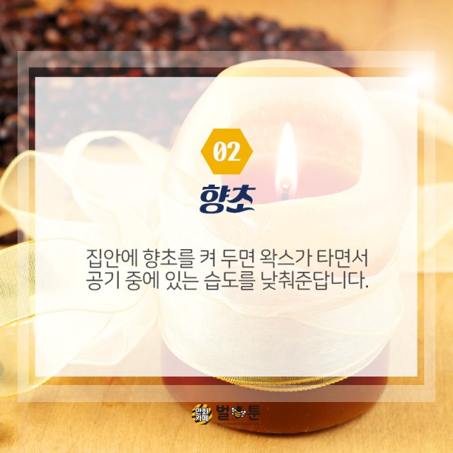 278edb181466177c9aadbc861b56fbc5_1532650