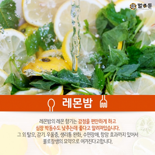 303675a27435d7b72dcc28925a78766b_1539915