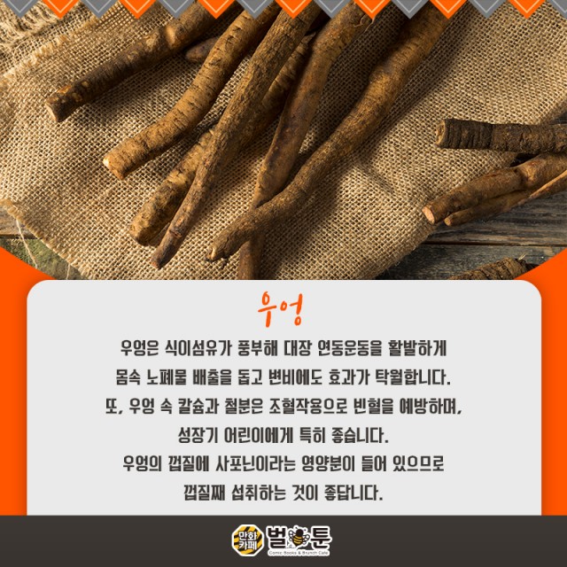 24982caba6e8a94dd1630795df017d56_1550206