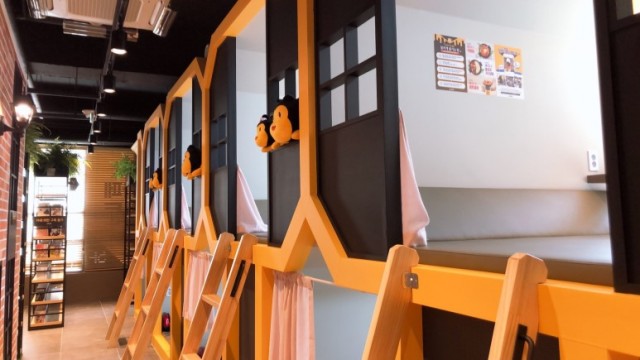 cf7cfac270acffd4d742e98b485c30af_1572503